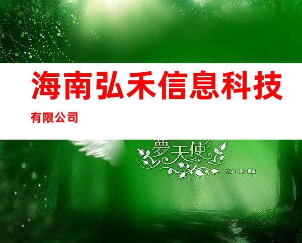 海南弘禾信息科技有限公司